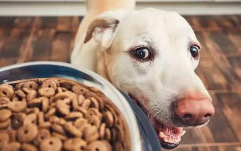 پرسودترین کالاها برای واردات از ترکیه